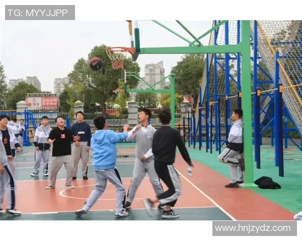 深度对话王娜从排球场到人生舞台的成长与启示